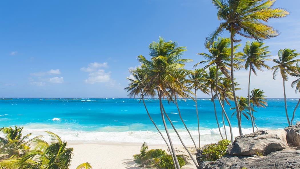 Your Perfect Winter Escape: Barbados