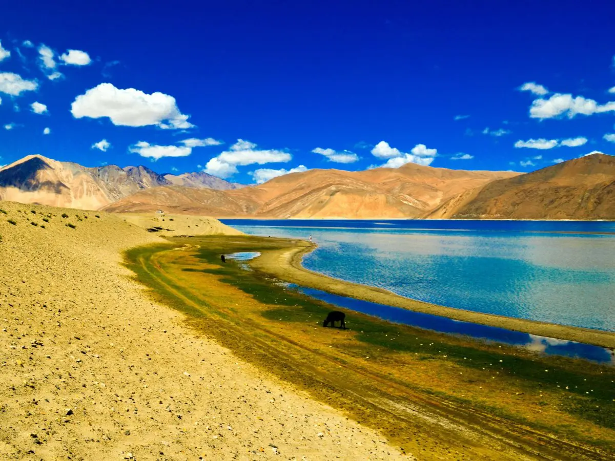 Pangong Tso Lake in Ladakh, Himalayas, India