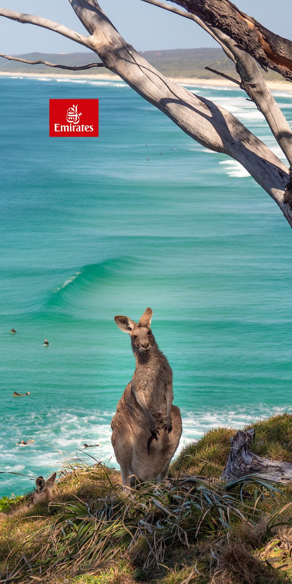 Fly to Queensland